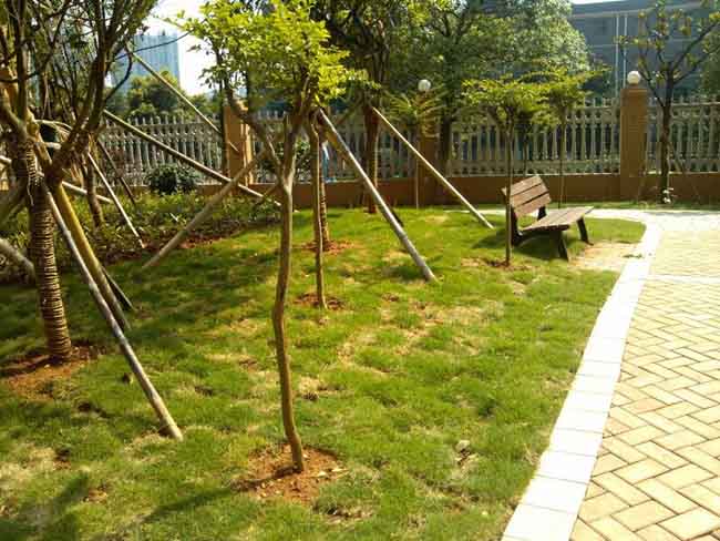 ���ϵ����С�^(q��)���b����,�������⽡������,�����������e��,���σ�ͯ����,�����\�ӈ���,�Lɳ�����Ƥ,�Lɳ�҃�(n��i)���\�ӵذ�,�Lɳ�������,�Lɳ���⽡������,�Lɳ�������e��,�Lɳ��ͯ����,�Lɳ�\�ӈ���,�Lɳ�����w����Ʒ���޹�˾