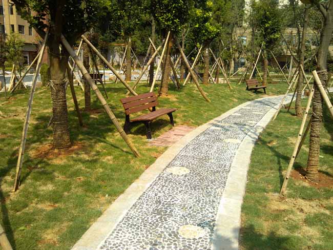 ����ľ�������e��,�������⽡������,�����������e��,���σ�ͯ����,�����\(y��n)��(d��ng)����,�Lɳ�����Ƥ,�Lɳ�҃�(n��i)���\(y��n)��(d��ng)�ذ�,�Lɳ�������,�Lɳ���⽡������,�Lɳ�������e��,�Lɳ��ͯ����,�Lɳ�\(y��n)��(d��ng)����,�Lɳ�����w����Ʒ���޹�˾