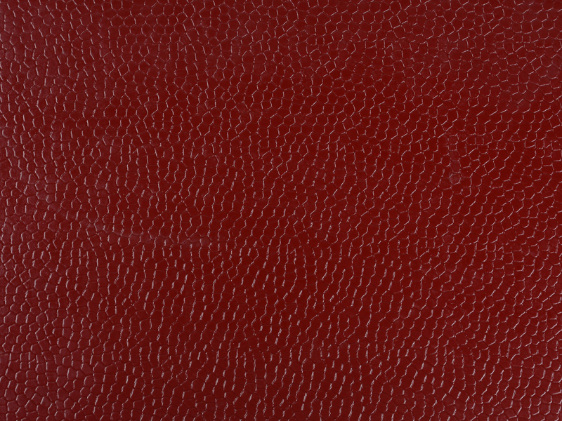 800600�܌����@-�t (1).jpg